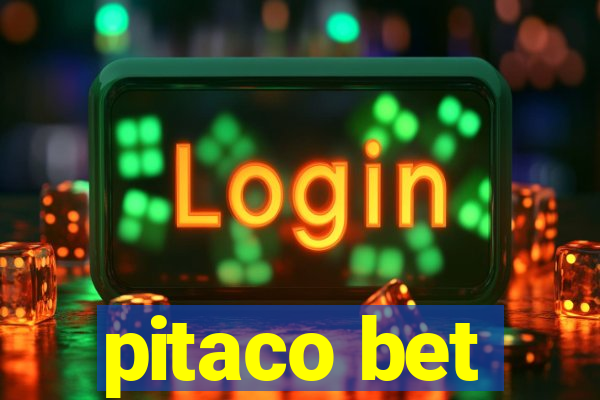 pitaco bet
